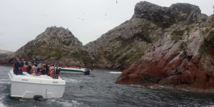 Tour a las Islas Ballestas